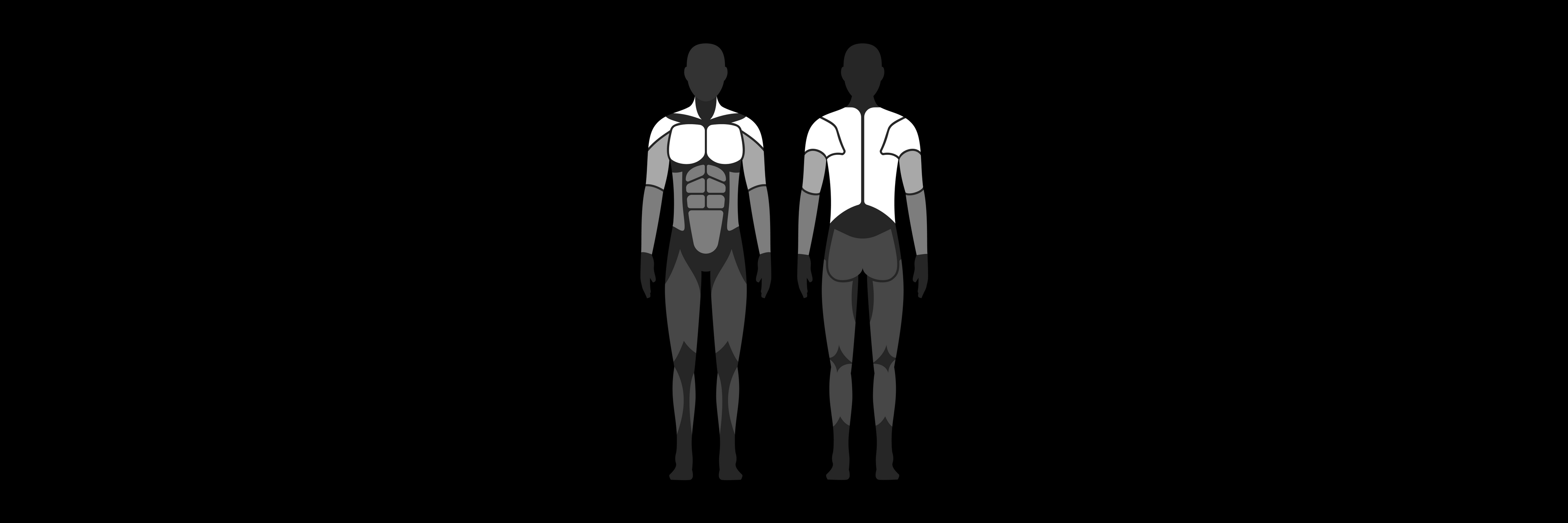 Diagram of human muscle groups highlighting upper body muscle groups